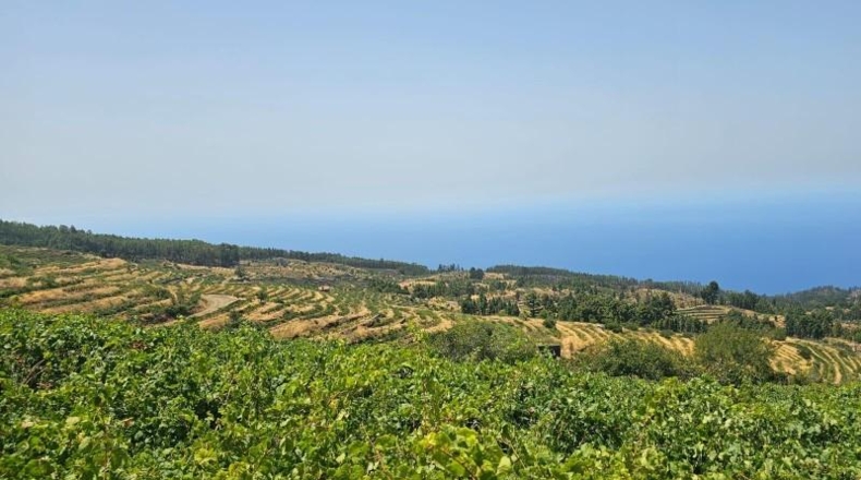 Santa Creu de Tenerife - La Traviesa - 7500m2