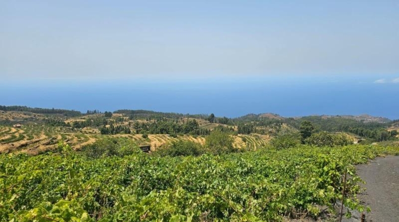 Santa Creu de Tenerife - La Traviesa - 7500m2