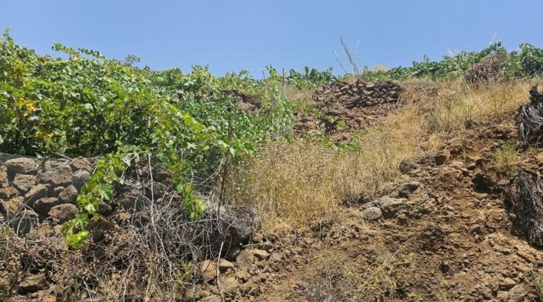 Santa Creu de Tenerife - La Traviesa - 7500m2
