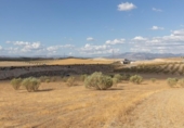 Non-developable land for sale on España, Villa de Otura, ref: TR329034 photo