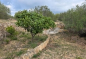 Xalet independent amb terreny en venda a la España, l'Ametlla de Mar, ref.: TR309557 foto