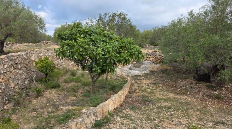 Tarragona - l'Ametlla de Mar - 14571m2