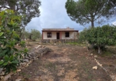 Xalet independent amb terreny en venda a la España, l'Ametlla de Mar, ref.: TR309557 foto