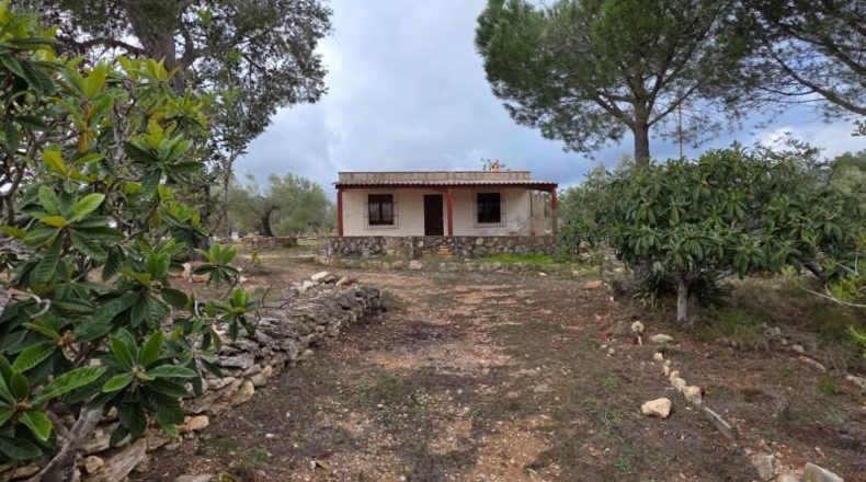Tarragona - l'Ametlla de Mar - 14571m2