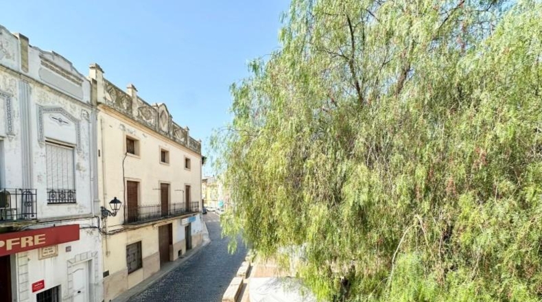 Alicante - Dolores - 266m2