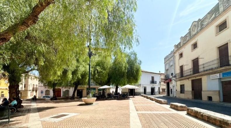 Alicante - Dolores - 266m2