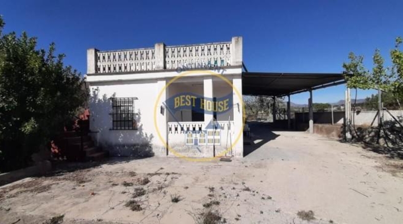 Valencia - Alcira - 7031m2