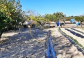 Casa de camp amb terreny en venda a la España, Albaida, ref.: TR317304 foto