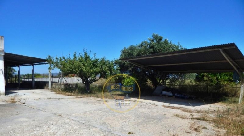 Valencia - Alcira - 7031m2