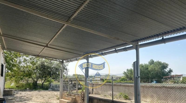 Valencia - Alcira - 7031m2