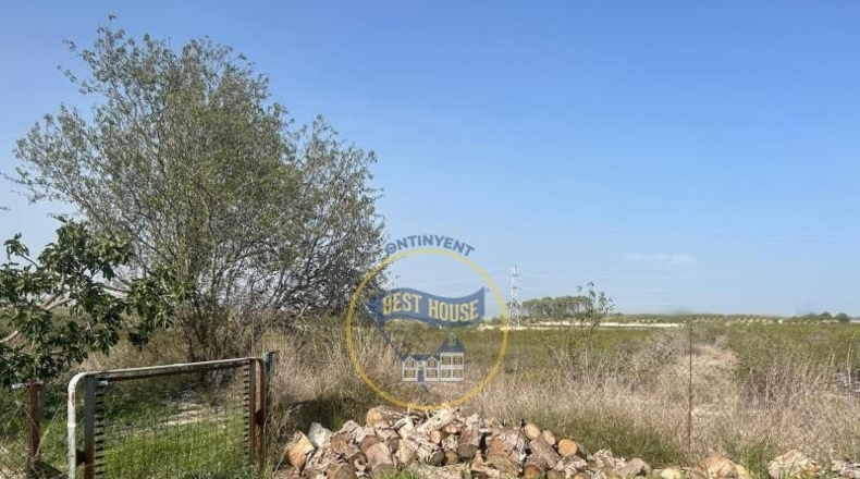 Valencia - Alcira - 7031m2
