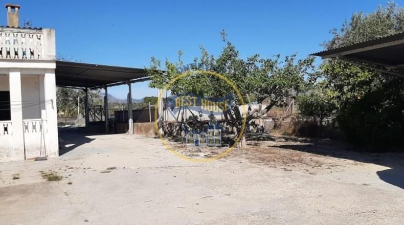 Valencia - Alcira - 7031m2