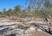 Casa de camp amb terreny en venda a la España, Albaida, ref.: TR317304 foto