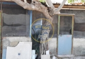 Casa de camp amb terreny en venda a la España, Albaida, ref.: TR317304 foto