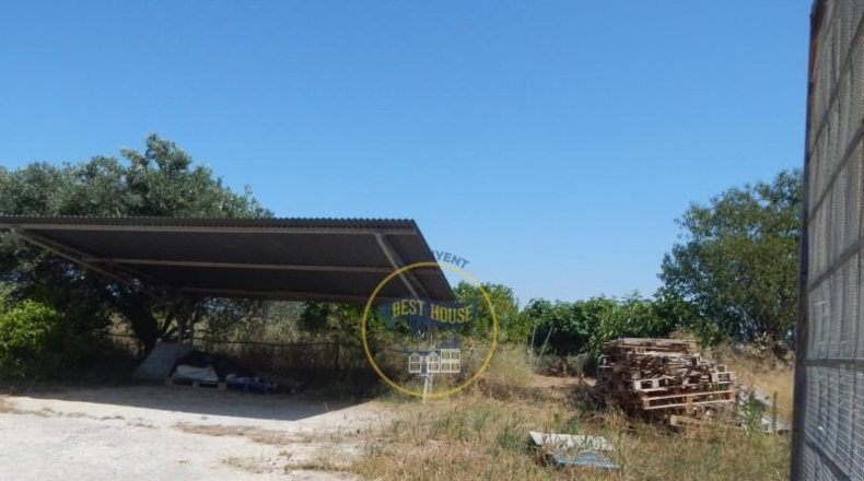 Valencia - Alcira - 7031m2
