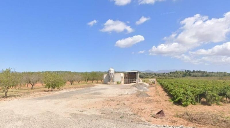 Alicante - Dolores - 2670m2