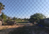 Xalet independent amb terreny en venda a la España, Borriana, ref.: TR246237 foto