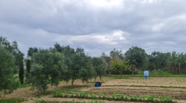 Cadiz - Chiclana de la Frontera - 1117m2