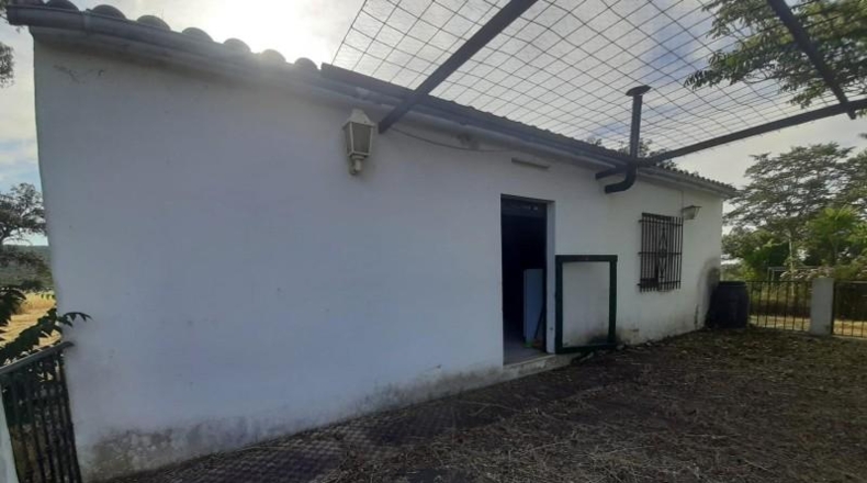 Cáceres - Cáceres - 27208m2
