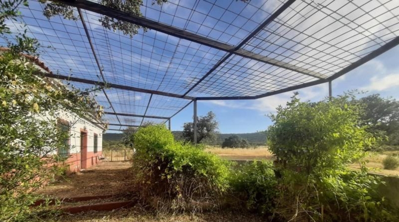 Cáceres - Cáceres - 27208m2