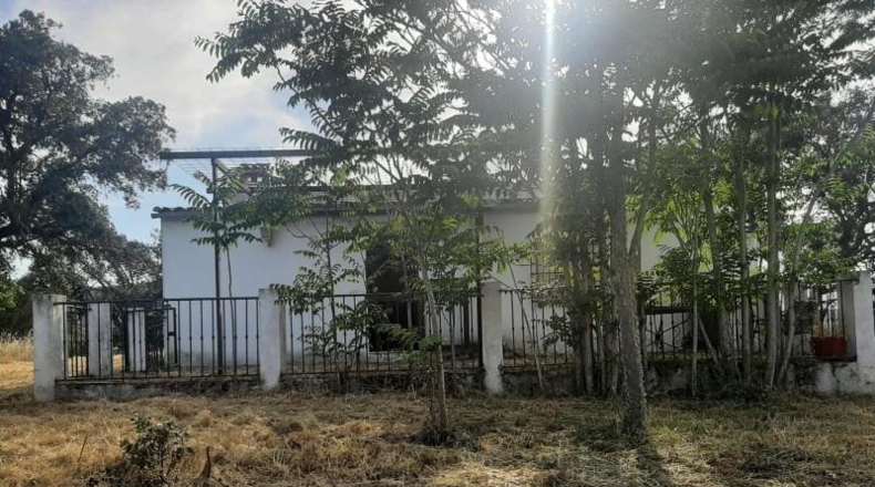 Cáceres - Cáceres - 27208m2