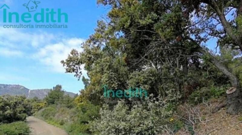 Tarragona - Figuerola del Camp - 500000m2