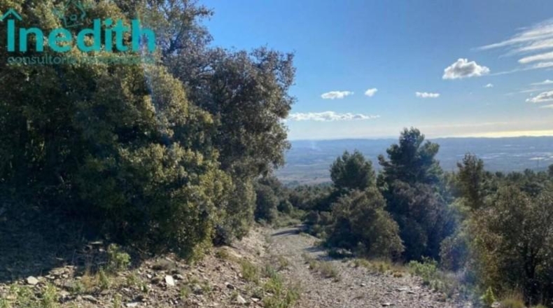 Tarragona - Figuerola del Camp - 500000m2