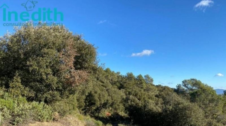 Tarragona - Figuerola del Camp - 500000m2