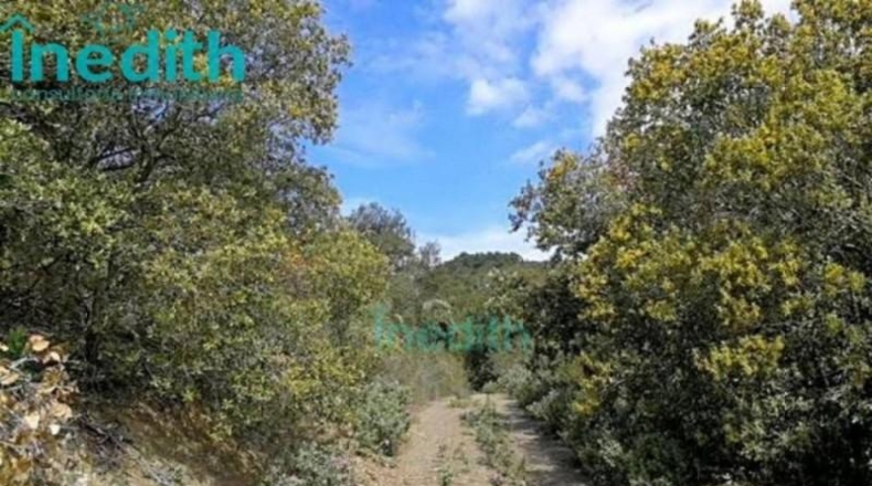 Tarragona - Figuerola del Camp - 500000m2
