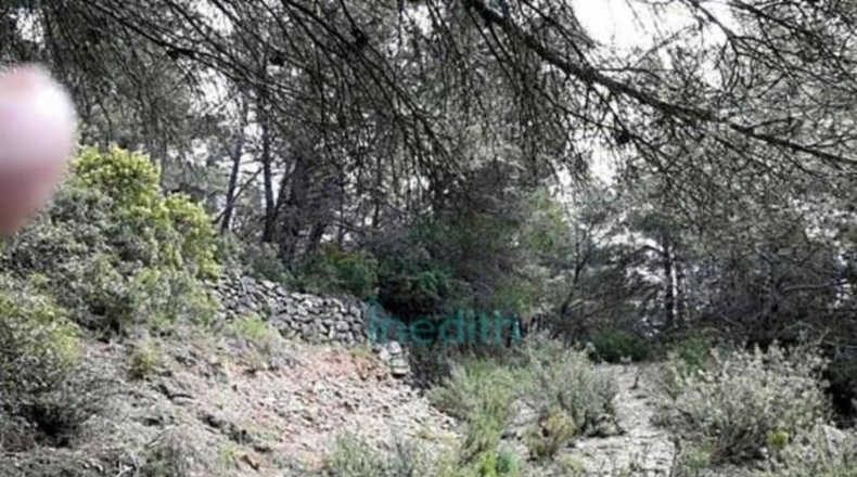 Tarragona - Figuerola del Camp - 500000m2