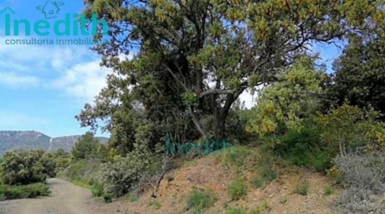 Tarragona - Figuerola del Camp - 500000m2