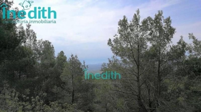 Tarragona - Figuerola del Camp - 500000m2