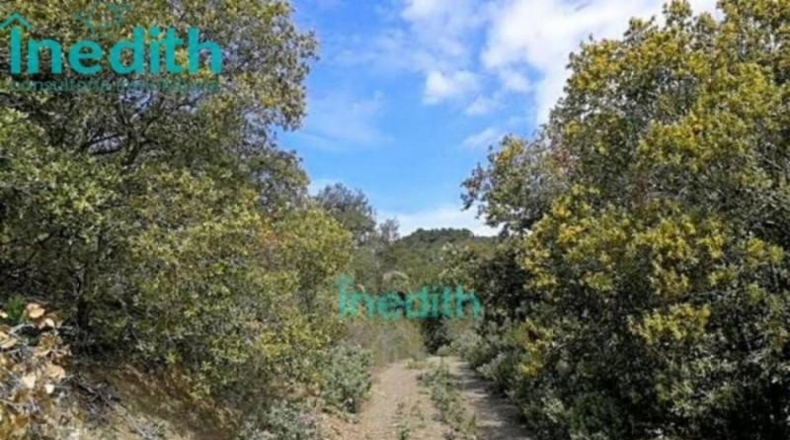 Tarragona - Figuerola del Camp - 500000m2