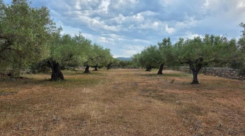 Tarragona - l'Ametlla de Mar - 45150m2