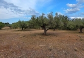 Xalet independent amb terreny en venda a la España, l'Ametlla de Mar, ref.: TR255071 foto