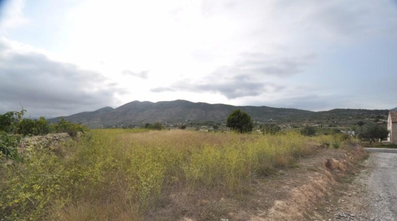 Alicante - Benisa - 15106m2