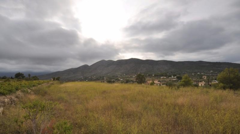 Alicante - Benisa - 15106m2
