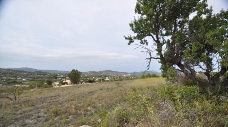 Alicante - Benisa - 15106m2