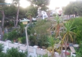 Non-developable land for sale on España, el Vendrell, ref: TR113326 photo