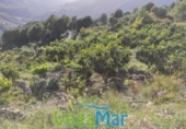 Земля на продажу у города Otívar Фото