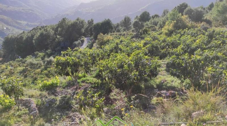Granada - Otívar - 10505m2