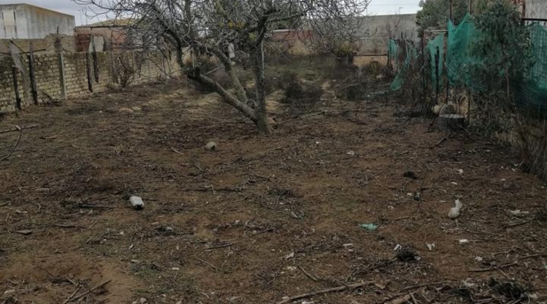 Cádiz - Sanlúcar de Barrameda - 1020m2