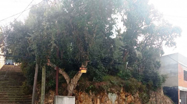 Gerona - Sant Feliu de Guíxols - 331m2