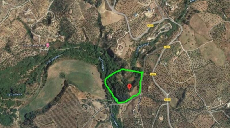 Cádiz - Algodonales - 35600m2