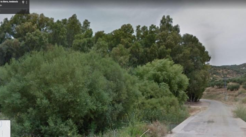 Cádiz - Algodonales - 35600m2