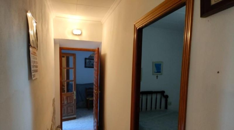 Almería - Arboleas - 361m2
