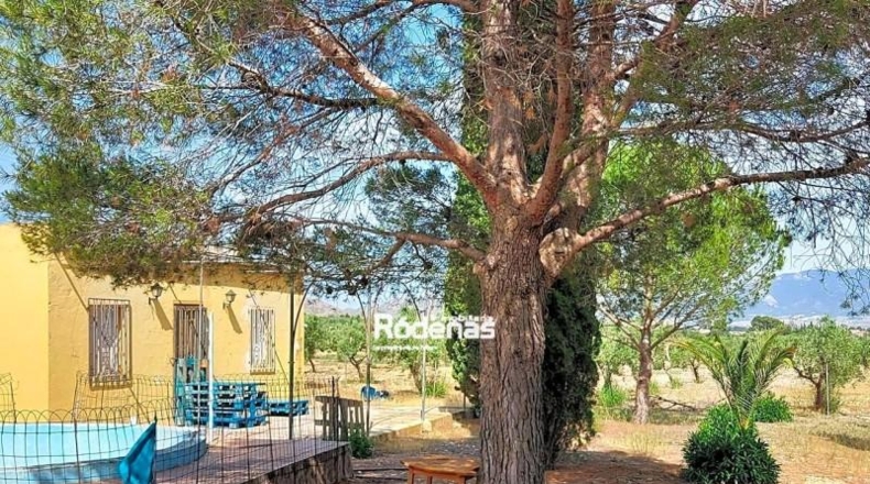 Murcia - Jumilla - 16952m2