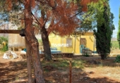Land suitable for development for sale on España, Jumilla, ref: TR112489 photo