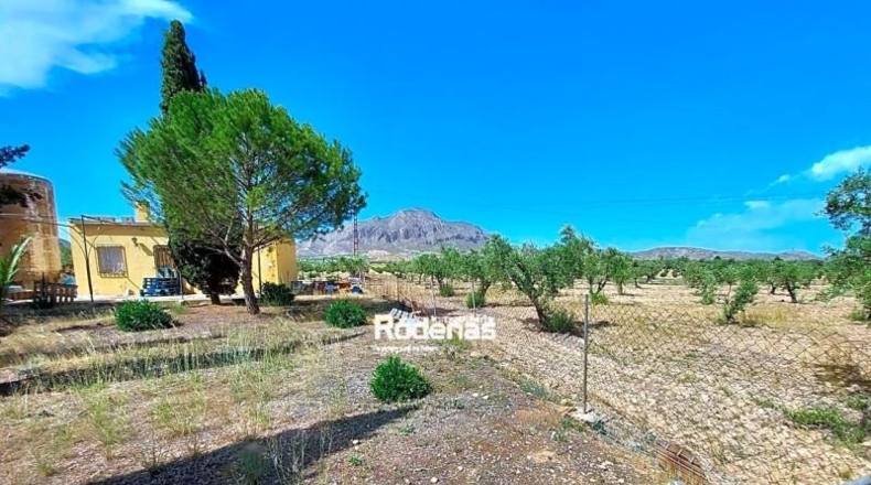 Murcia - Jumilla - 16952m2