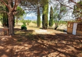 Land suitable for development for sale on España, Jumilla, ref: TR112489 photo